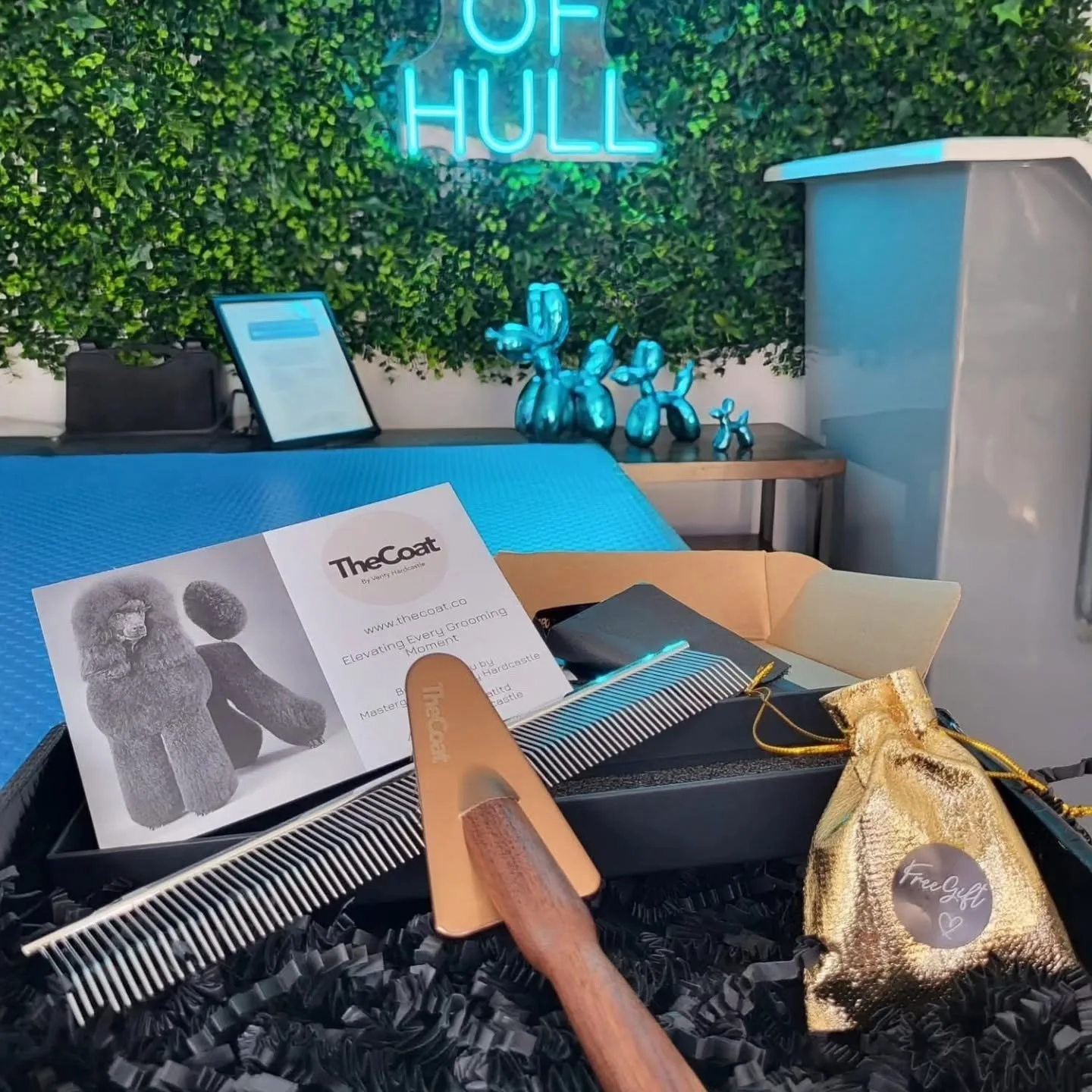 Professional grooming products used at the salon