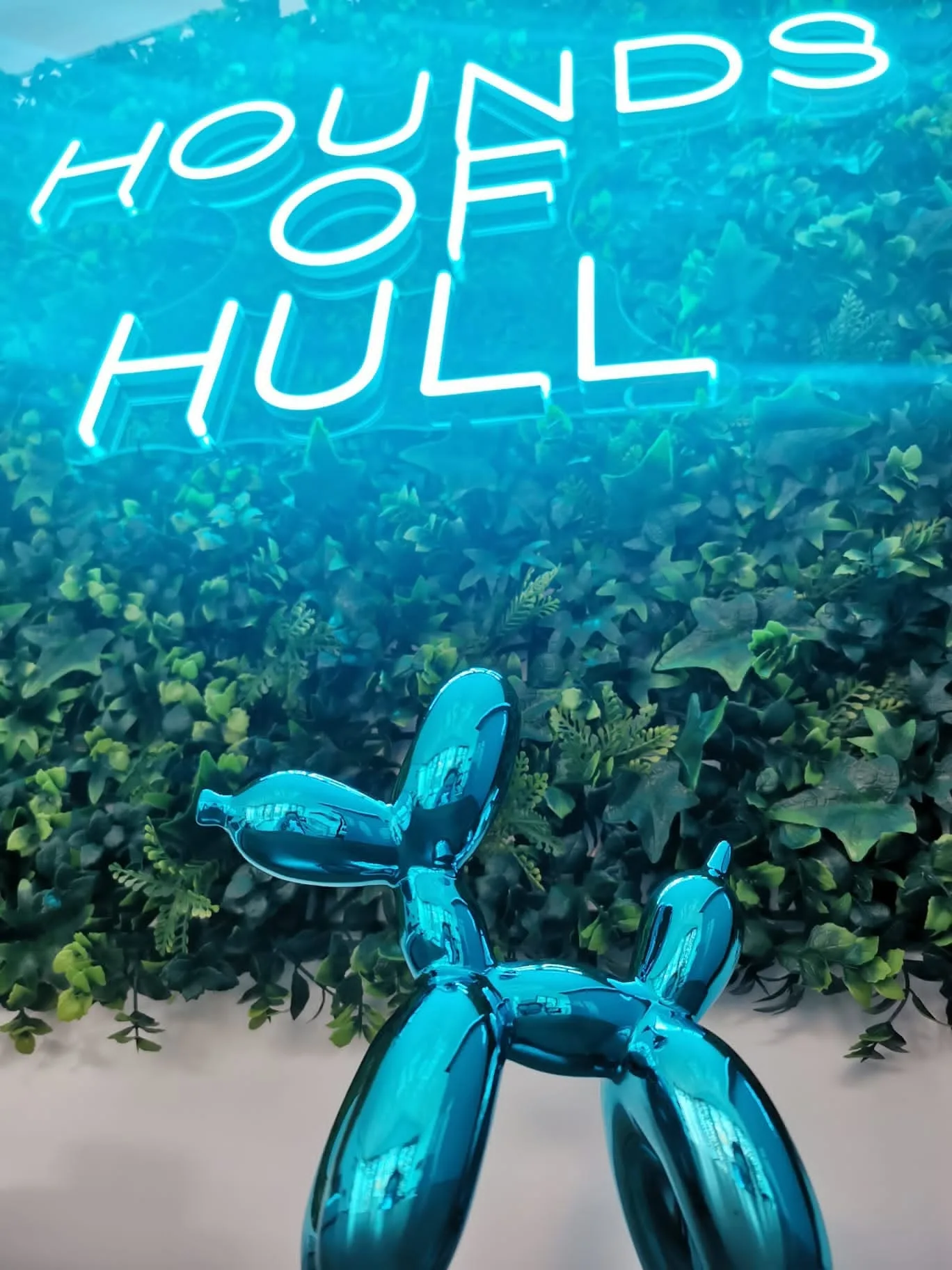 The Hounds of Hull salon with its neon sign
