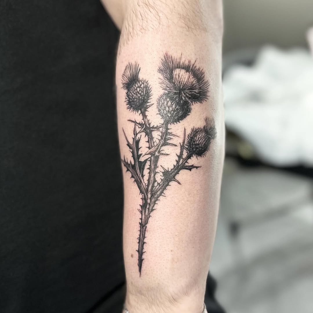 Scottish thistle tattoo by Markings Tattoos Hessle